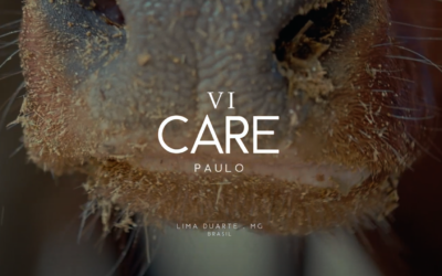 VI - Care